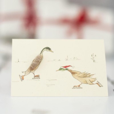 Mini Ducks skating card