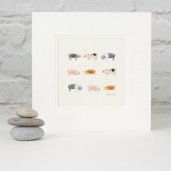 Rare Breed pigs print