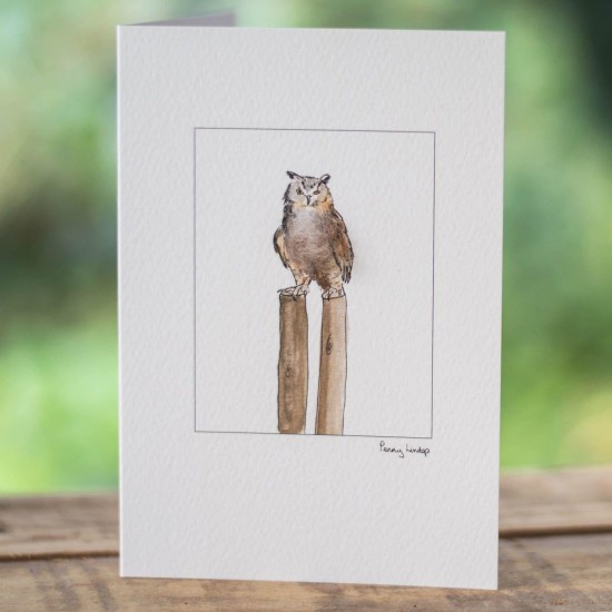 Owl Eagle on a post card Owl Eagle on a post card