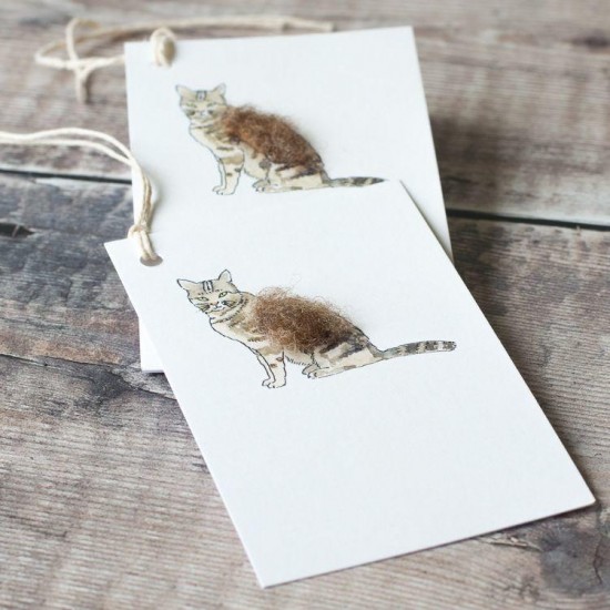 Gift Tags, with string - Cat tabby 