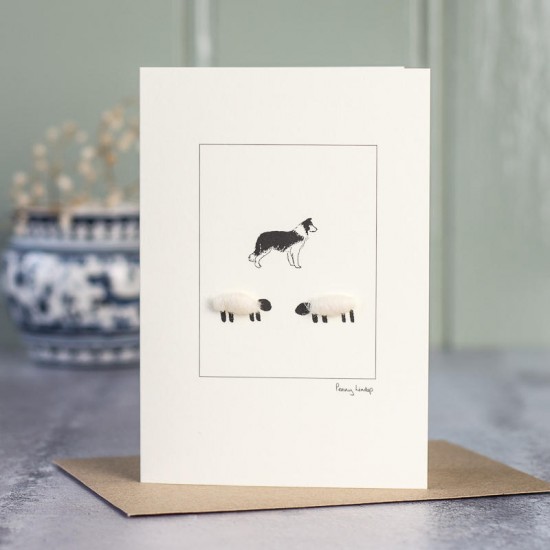 Sheep and collie card