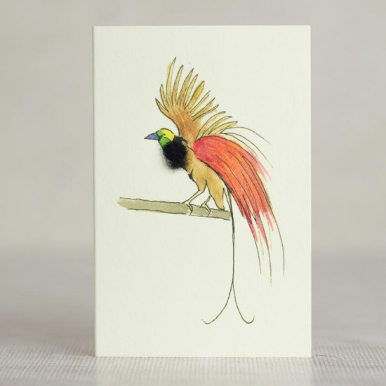 Mini Bird of Paradise card