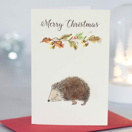 Mini Hedgehog and festive branch card Mini Hedgehog and festive branch card