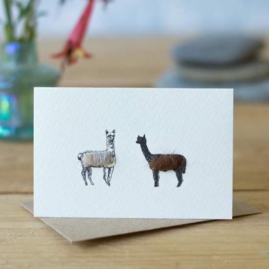 Mini Alpacas card