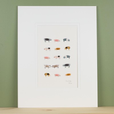 Limited Edition Print of Rare Pigs print Limited Edition Print of Rare Pigs print