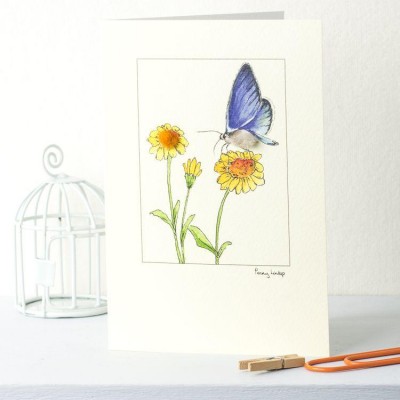 Blue butterfly card Blue butterfly card