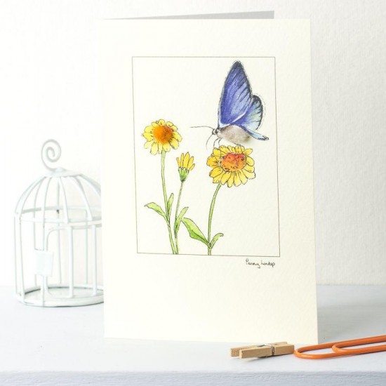 Blue butterfly card