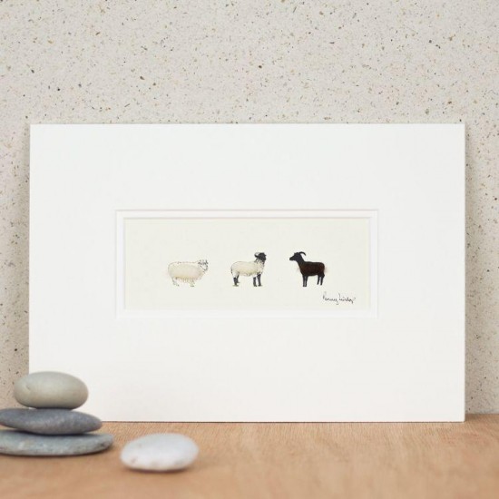 3 Rare breed sheep print