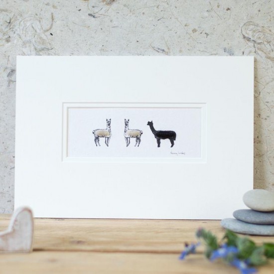 3 Alpacas print