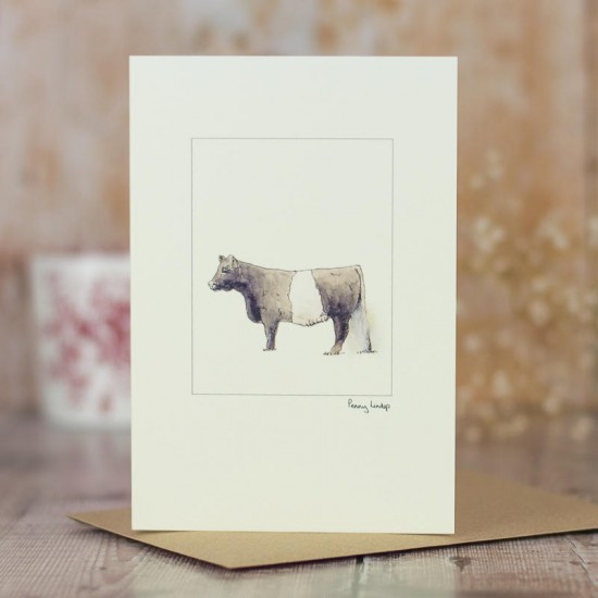 Cow Belted Galloway card Cow Belted Galloway card