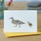 Mini Duck Mallard and duckling card Mini Duck Mallard and duckling card