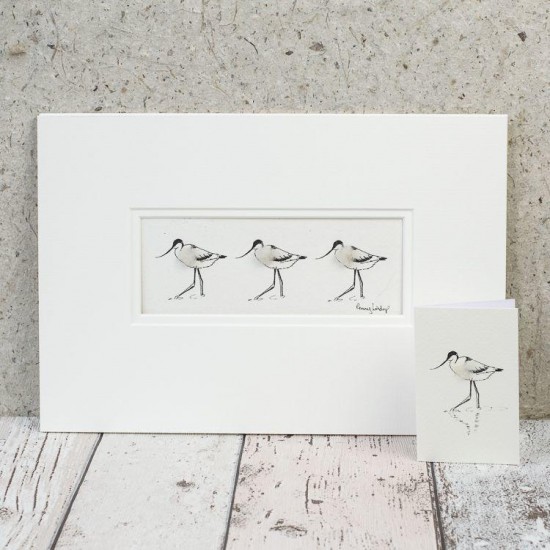 3 Avocets print 3 Avocets print