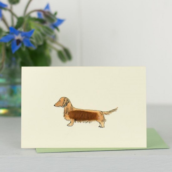 Mini Dachshund red card