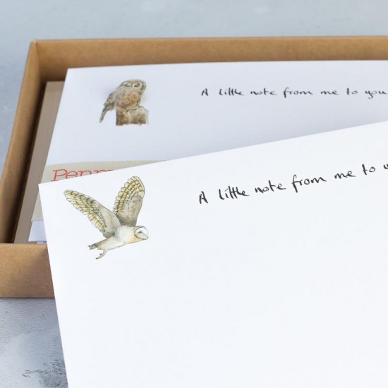Notecards Owls