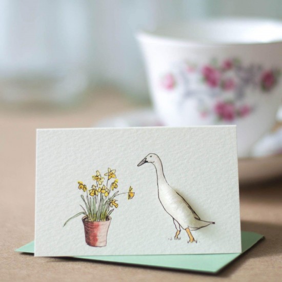 Mini Duck Indian Runner with daffodils card