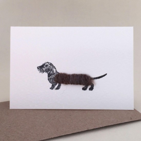 Mini Dachshund wire haired card