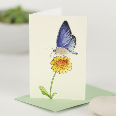 Mini Butterfly blue card  Mini Butterfly blue card