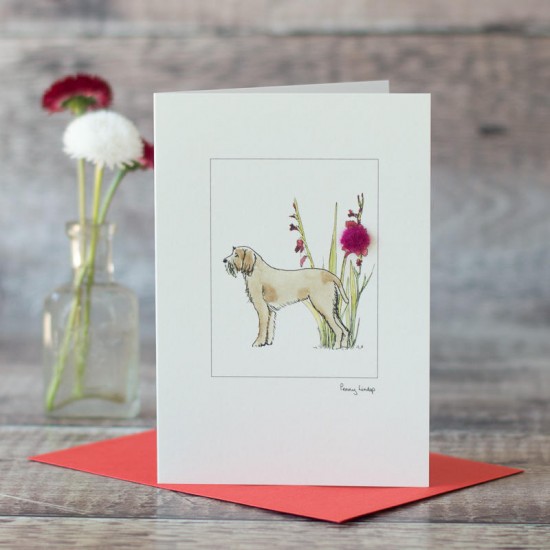 Italian Spinone card