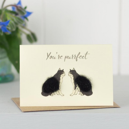 Mini Cat 'You'er purrfect' card