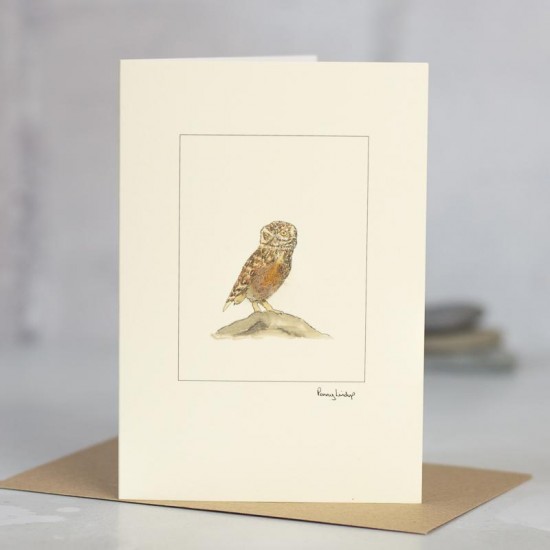 Owl Little card Owl Little card
