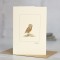 Owl Little card Owl Little card