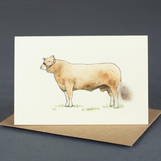 Mini Cow Simmental card