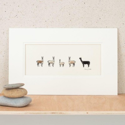 Alpacas print