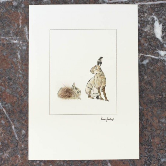 Hare and leveret card