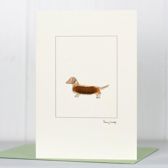 Dachshund red card