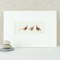 Game birds print Game birds print