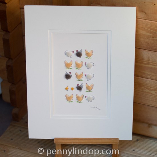 Limited Edition Print of Buff Orpingtons and Pekin Bantams print