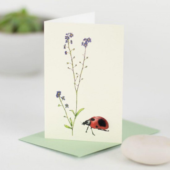 Mini Ladybird and forget me nots card