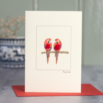 Parrots card Parrots card