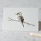 Mini Bird Kookaburra card Mini Bird Kookaburra card