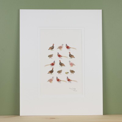 Limited Edition Of Game Birds print Limited Edition Of Game Birds print