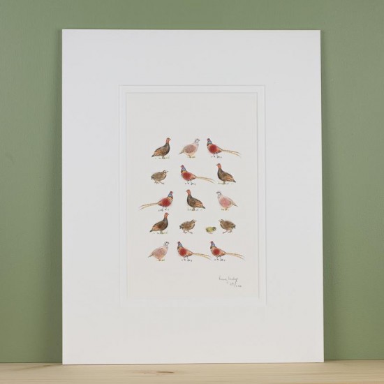 Limited Edition Of Game Birds print