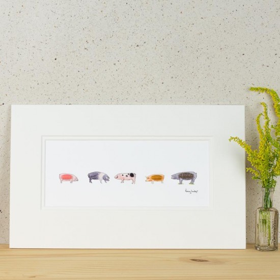 Rare Breeds of Pigs print