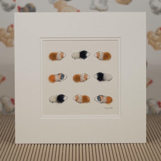 Guinea pigs-ginger, black and white print
