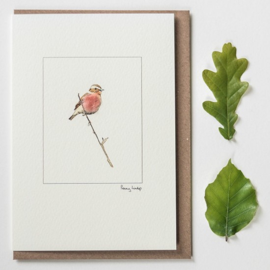 Whinchat on a branch card