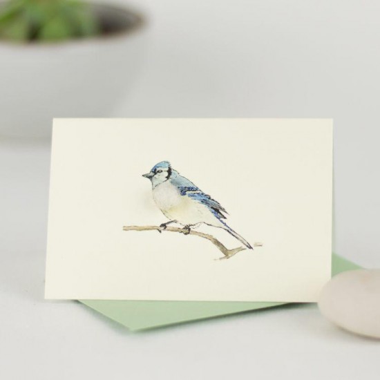 Mini Bird Bluejay card