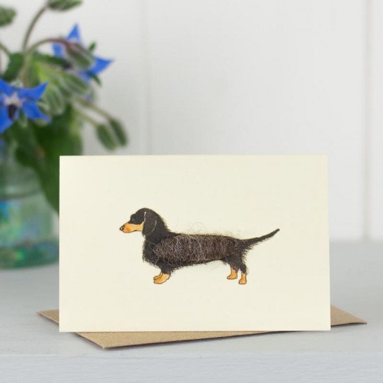 Mini Dachshund long haired black and tan card