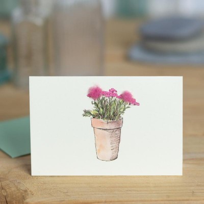 Mini Pinks pot of card Mini Pinks pot of card