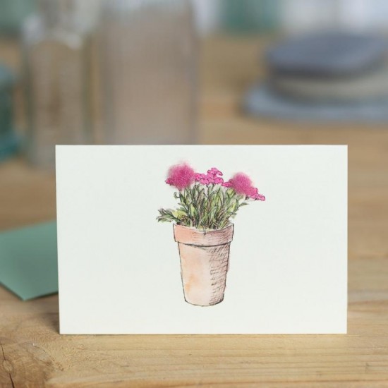 Mini Pinks pot of card