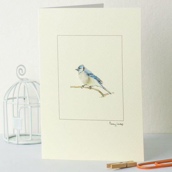 Bluejay card