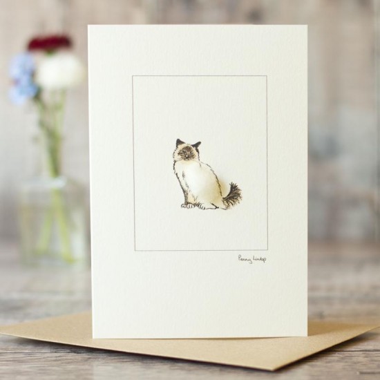 Cat Birman card Cat Birman card