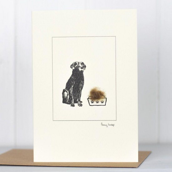 Black Labrador and food card