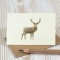 Mini Stag card Mini Stag card
