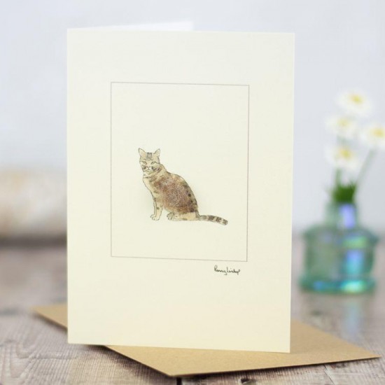 Cat tabby sitting card