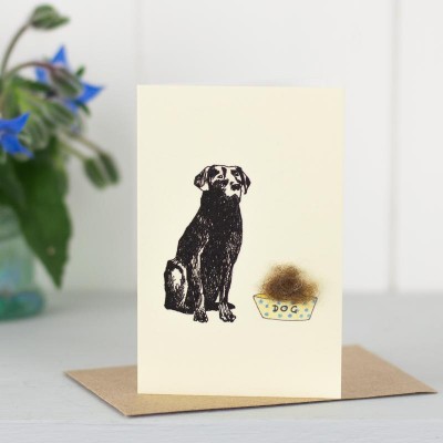 Mini Labrador black with food card Mini Labrador black with food card