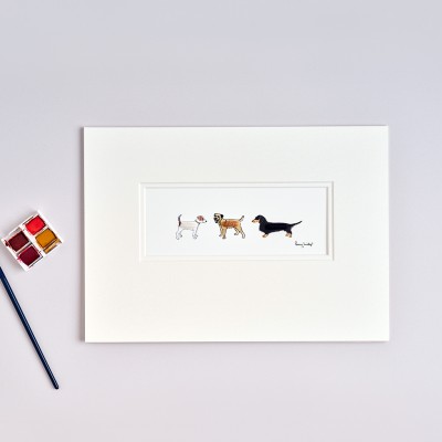 Assorted dogs Assorted dogs